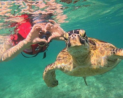 Marine Sanctuary